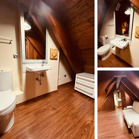 Casa Pixurri En Compuesta De 5 Turisticos En Casona Pirenaica, A 10 Minutos De Estaciones De Esqui De Formigal-panticosa アパート